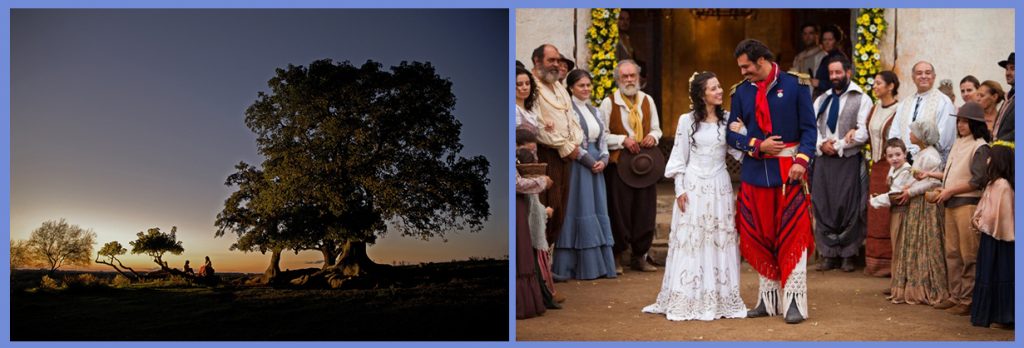 Arvores, por do sol, e duas pessoas sentadas próximas há uma das arvores. A outra imagem é um casamento, as pessoas estão do lado de fora da igreja e os noivos saindo da igreja.