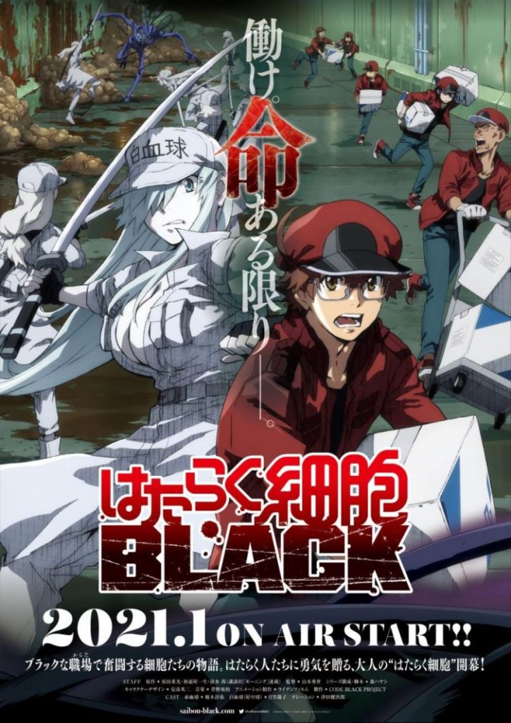 Hataraku Saibou Black anime