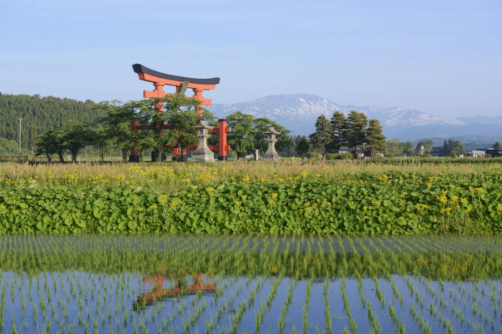 Torii japônes com uma montanha ao fundo.