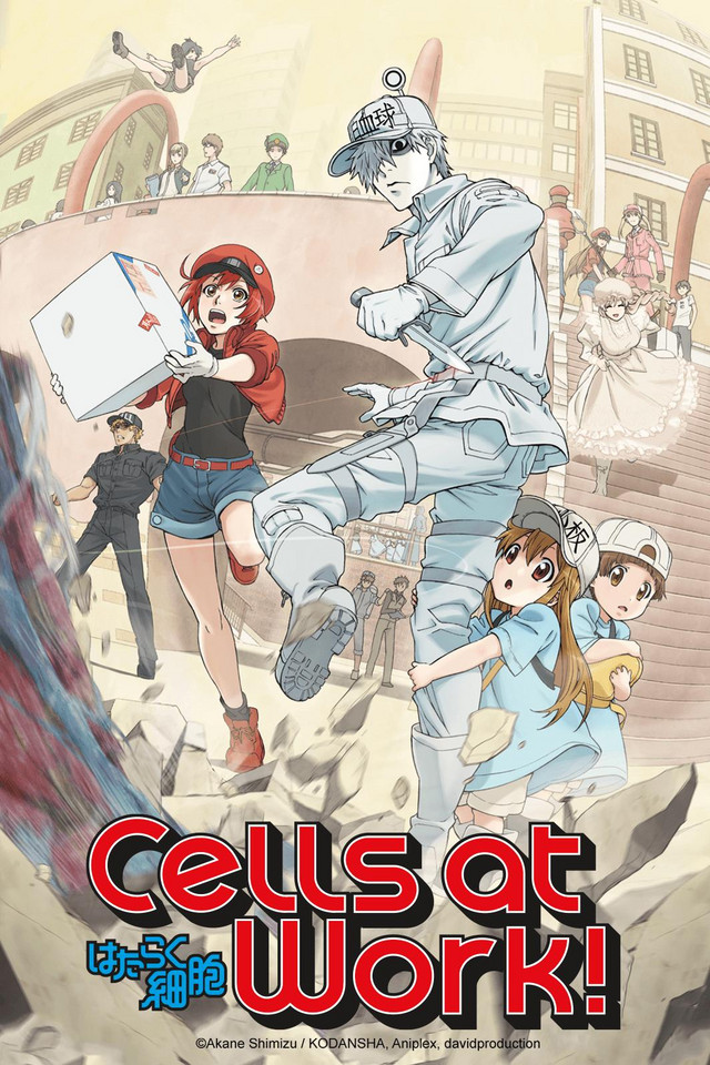 Cells at Work Crunchyroll