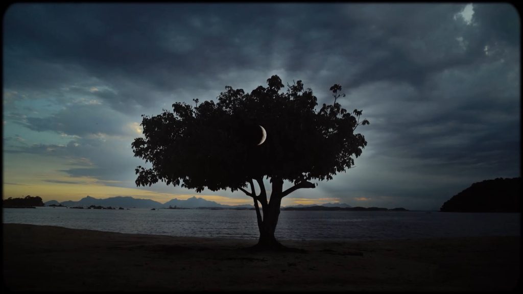 Foto de uma árvore em silhueta, devido à iluminação, com uma lua minguante sobreposta. Ao fundo, uma praia e o céu nublado.