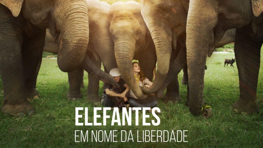 A imagem mostra os produtores no meio dos elefantes, na parte de baixo está o nome do programa.