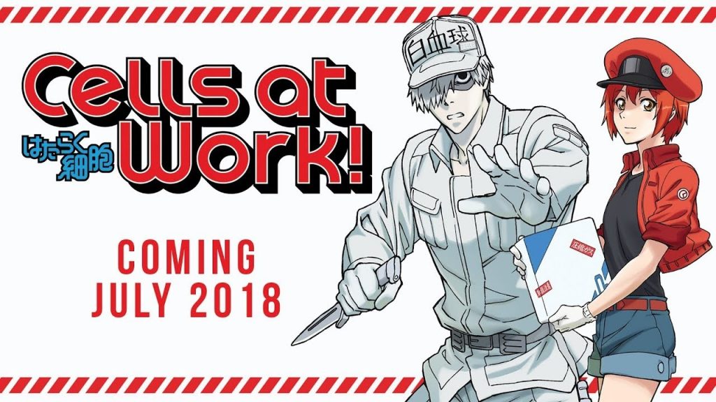 Capa do anime Cells at Work 