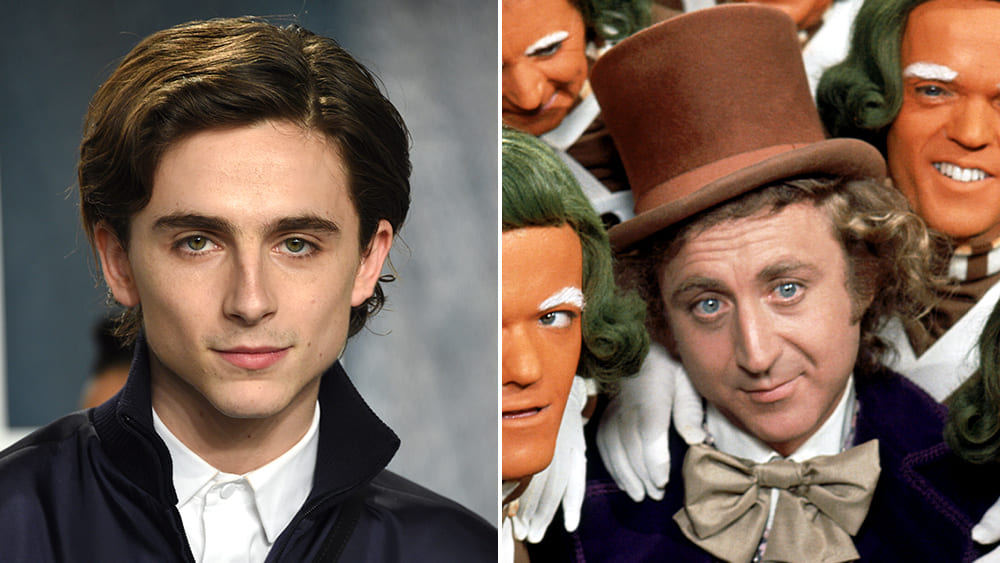 Timothée Chalamet viverá o papel principal de "Wonka". - Otageek