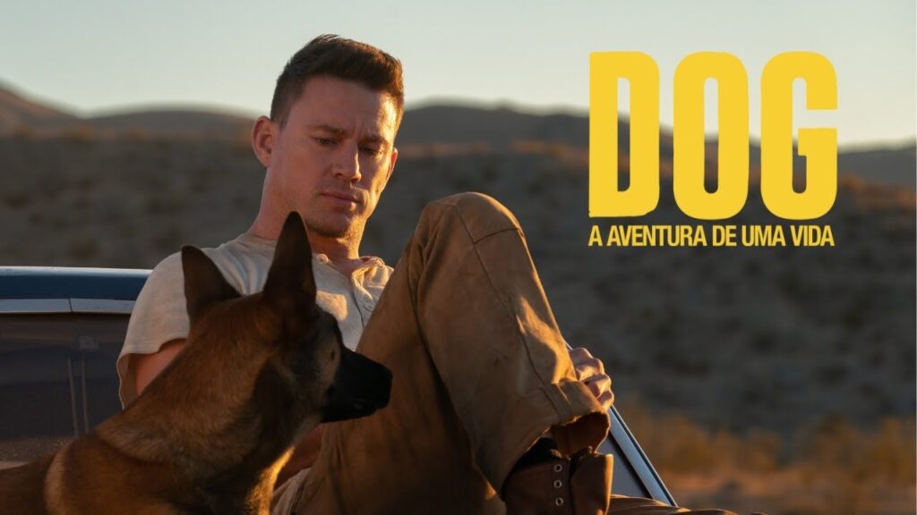FILME ‘DOG - A AVENTURA DE UMA VIDA’ ESTREIA EM 19 DE MAIO_Easy-Resize.com