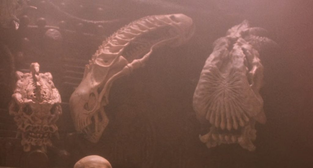 Cena mostra o crânio de um xenomorfo no interior da nave do Yautja em O Predador 2 