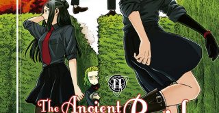 Décima primeira sobrecapa do mangá Ancient Magus Bride da Editora Devir.