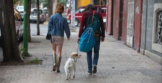 A NOVA SÉRIE “AMSTERDAM” JÁ ESTÁ DISPONÍVEL NA HBO MAX