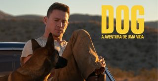 FILME ‘DOG - A AVENTURA DE UMA VIDA’ ESTREIA EM 19 DE MAIO_Easy-Resize.com